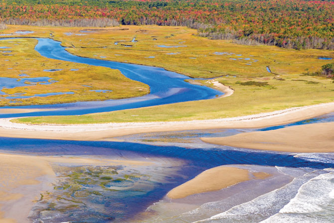 Little River estuary